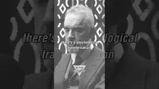 Psychological transformation in WOMEN || JORDAN PETERSON ||#shorts