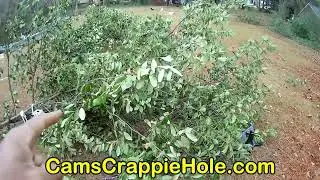 💥💥CAMS CRAPPIE BUILD HABITAT TO KEEP YOUR CRAPPIE IN THE STRIKE ZONE ALL YEAR youtube💥💥