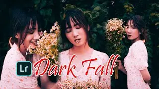 lightroom mobile free preset tutorial free dng | Dark Fall Preset