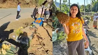 Village vibes, Visiting farm with babhi || Doji village  || Aalo || Vlog 21
