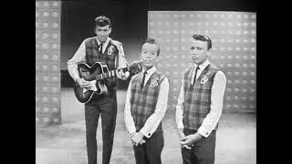 Bee Gees - My Old Man's A Dustman (Bandstand 1963)
