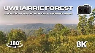 Uwharrie National Forest | Morrow & Sugarloaf Mountain | VR180 3D Nature Experience