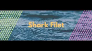 Commerce Meets Conscience with SharkFilet: Reflecting the Power of Ethical Influence.