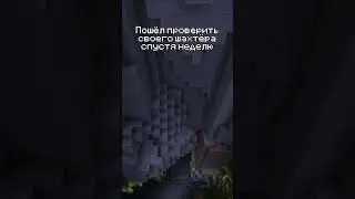 С ним явно что-то случилось... #говмайн #minecraft #майнкрафт #friend #друг #отправьдругу #мем #гуль