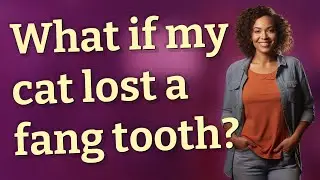 What if my cat lost a fang tooth?