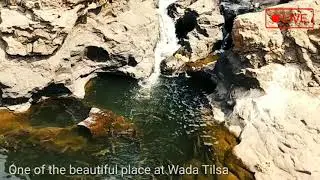 Fish point wada tilsa