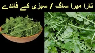 Health Benefits of Arugula Vegetable : Taramira Saag / Sabzi ky Fawaid By Hashim Abro