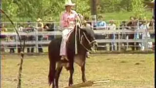 Cholly1943 : Back Mountain Rodeo