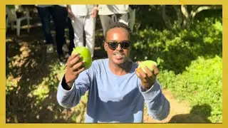 Beeraha | Dhaqaalaha Aasaasiga ee Dalka | Somalia’s Green Farms