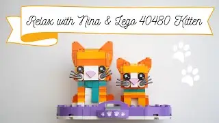 Relax with Nina - Lego&reg; 40480 Brick Heads Kitten