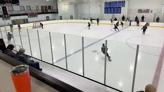 Mankato Gold