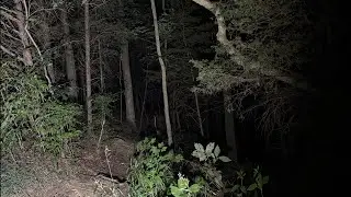 AT THE TOP OF DOGMAN ROCK HILL ALREADY HEARING STUFF