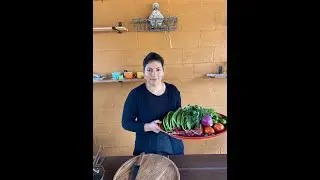 Tortas de Camarón Estilo Jalisco