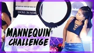 MANNEQUIN CHALLENGE With a YouTuber⎜Daseana&hearts; #MannequinChallenge