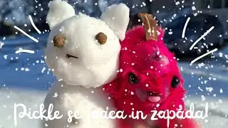Pickle se joaca in zapada! 😆❄️⛄️