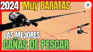 🎣 Las 4 mejores CA&Ntilde;AS DE PESCAR BARATAS de Amazon 🎣 || 2024 || Mejor CALIDAD y PRECIO