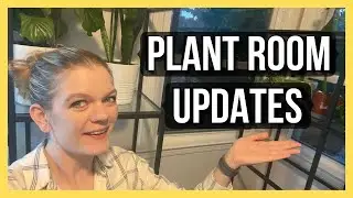 Plant Room Updates & Tour  ||  SO MUCH SPACE!! 🚀  ||  Soiled Plant