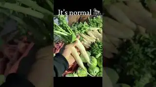 It&rsquo;s normal.🤷🏻. . . . . #bodybuilding #naturalfitness #fitnessinfluencer #fitnessmodel #reels #viral