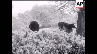SNOW IN SOMERSET - NO SOUND