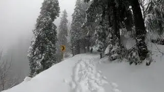 Nathia Gali Snowfall December 2020 l Call of Galiyat Mountains l Winters Wonderland