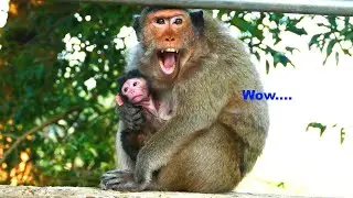 Good Protection....Mekala Looks Exhausted To Rest After Caring Newborn baby The whole day
