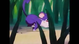 Rattata Pok&eacute;dex Entry - Pokemon, I Choose You