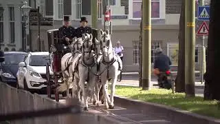 koets 4 witte paarden