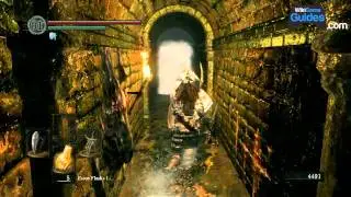 Dark Souls Walkthrough - Depths: Giant Rat Mini-Boss (Part 025) | WikiGameGuides