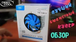 САМЫЙ ЛУЧШИЙ БЮДЖЕТНЫЙ КУЛЛЕР