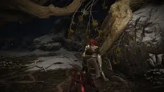 Unalloyed Malenia x Verso - Hitless Parry Dagger - no ATH