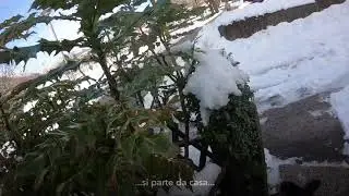 Ski alp home edition 🎿💪🏻❤️ Piano d&rsquo;Arta-Carnia-Friuli-Venezia Giulia