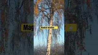 Cold weather 🌦️ #weather #cold #winter #song #bollywood #music #uk