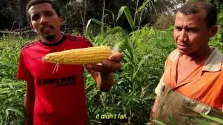 Sustainable Almeirim - IFT