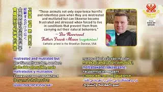 Near-Death Experiences &ndash; Exploring Heavens and the Afterlife, Part 6 of a Multi-part Series