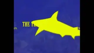 Frank Zappa The yellow shark