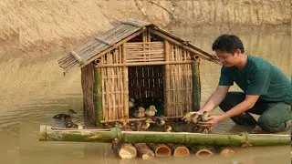 Transforming the surface of a lake into a floating house for raising ducks – a brilliant idea!