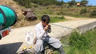【ランドスケープ】カンキツ食べてひとやすみ