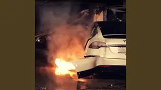 FUCK ELON