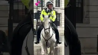 Mounted Police and Their Stunning Horses