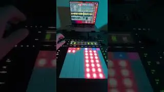 Intelligent Drum & Bass @Ableton #push3 #ableton12