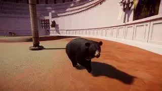 Formosan Black Bear is SCARED of Lion in one aviary | Planet Zoo Animals