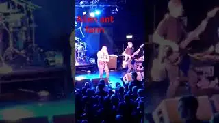 alien ant farm - courage #livemusic #aaf #alienantfarm #numetal