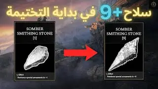 أفضل بداية ممكن تبدأ بها في الدن رينق | 2025