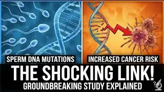 Sperm Mutation Linked to Cancer: Shocking New Study Reveals Risk