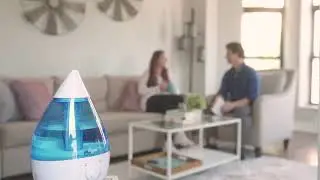 Website Header Video