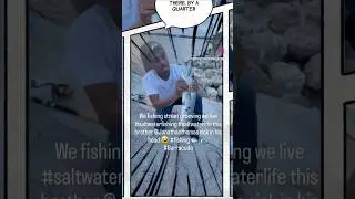 Barracuda Fish in Miami Florida : What a catch  #saltwater #saltlife #barracuda #fish #subscribe
