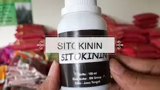 ZAT PENGATUR TUMBUH SITOKININ