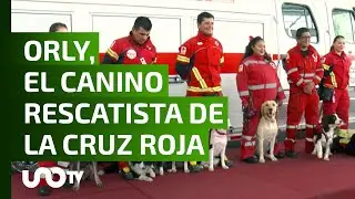 Cruz Roja Mexicana, presenta a los caninos rescatistas.