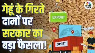 गेहूं के दाम गिरते ही सरकार का एक्शन, 25 लाख टन गेहूं एक्सपोर्ट की मिली मंजूरी! | Wheat Export