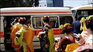 Geisha et Maiko à Kyoto - Japon🇯🇵